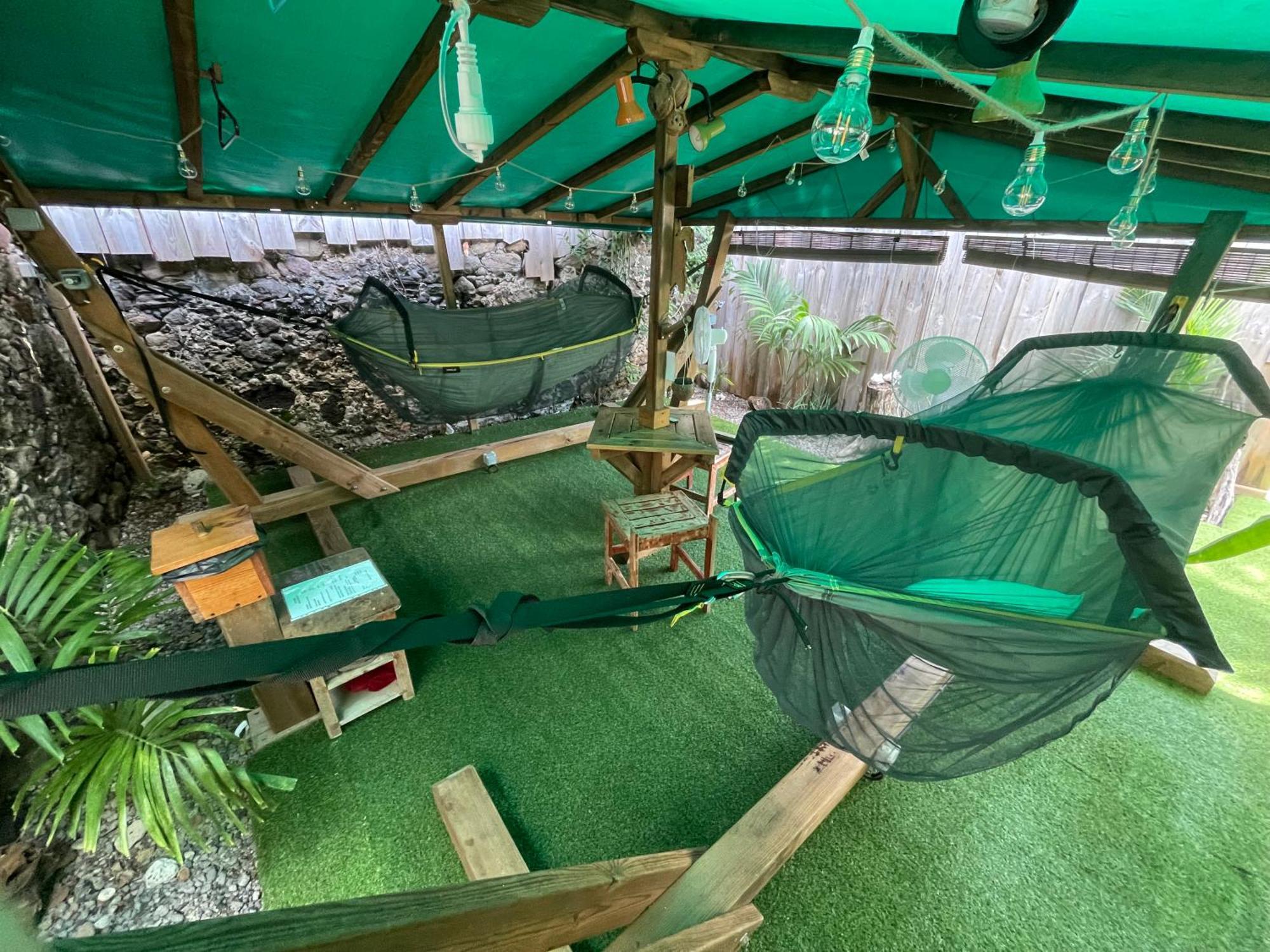 Les Hamacs Aux Saintes Otel Terre-De-Haut Dış mekan fotoğraf