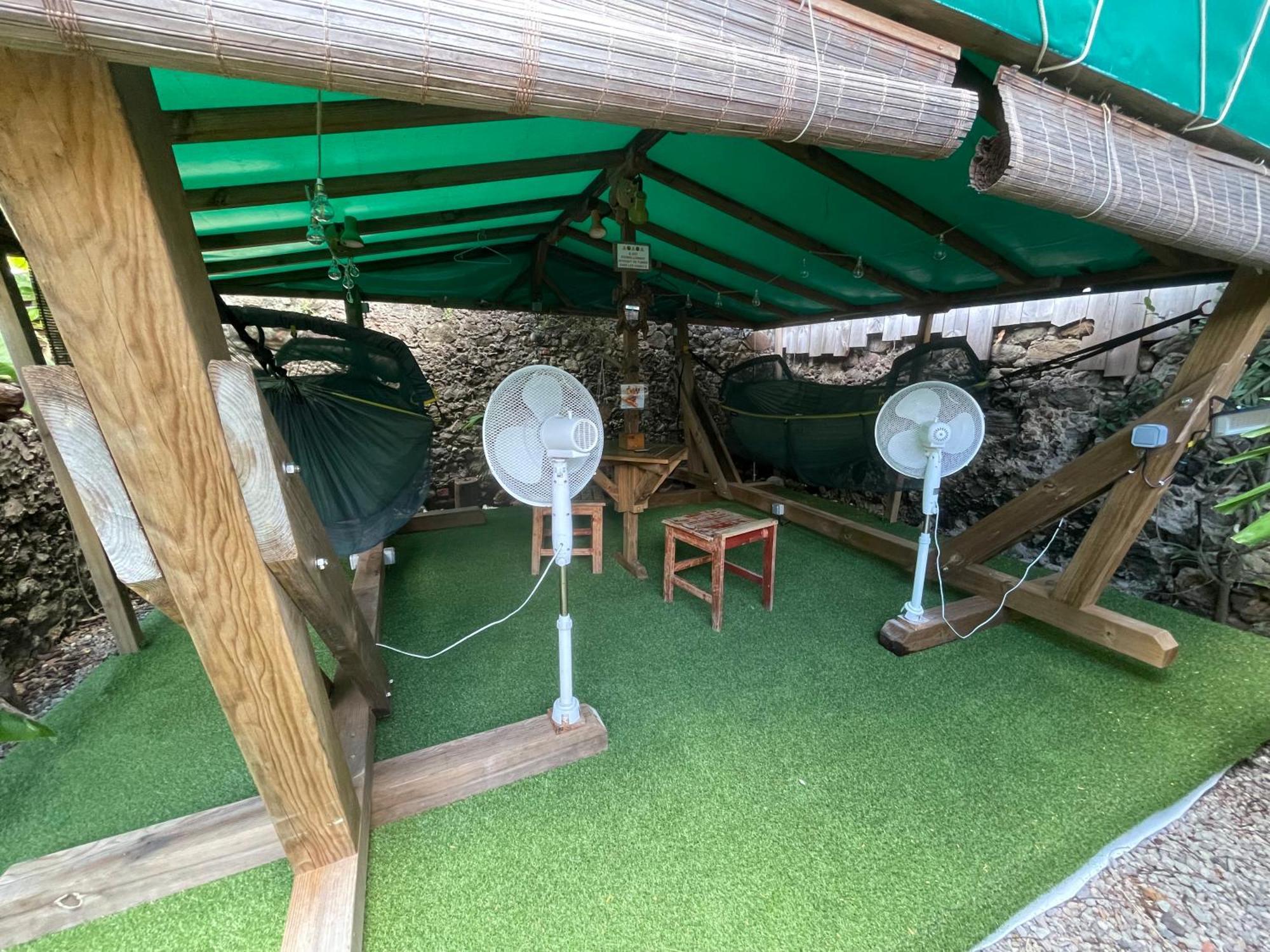 Les Hamacs Aux Saintes Otel Terre-De-Haut Dış mekan fotoğraf