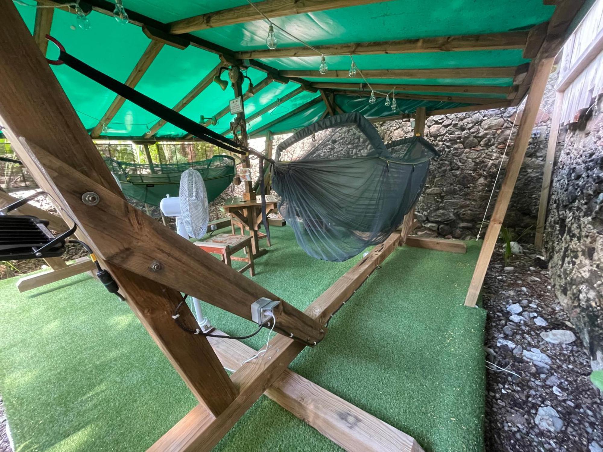 Les Hamacs Aux Saintes Otel Terre-De-Haut Dış mekan fotoğraf